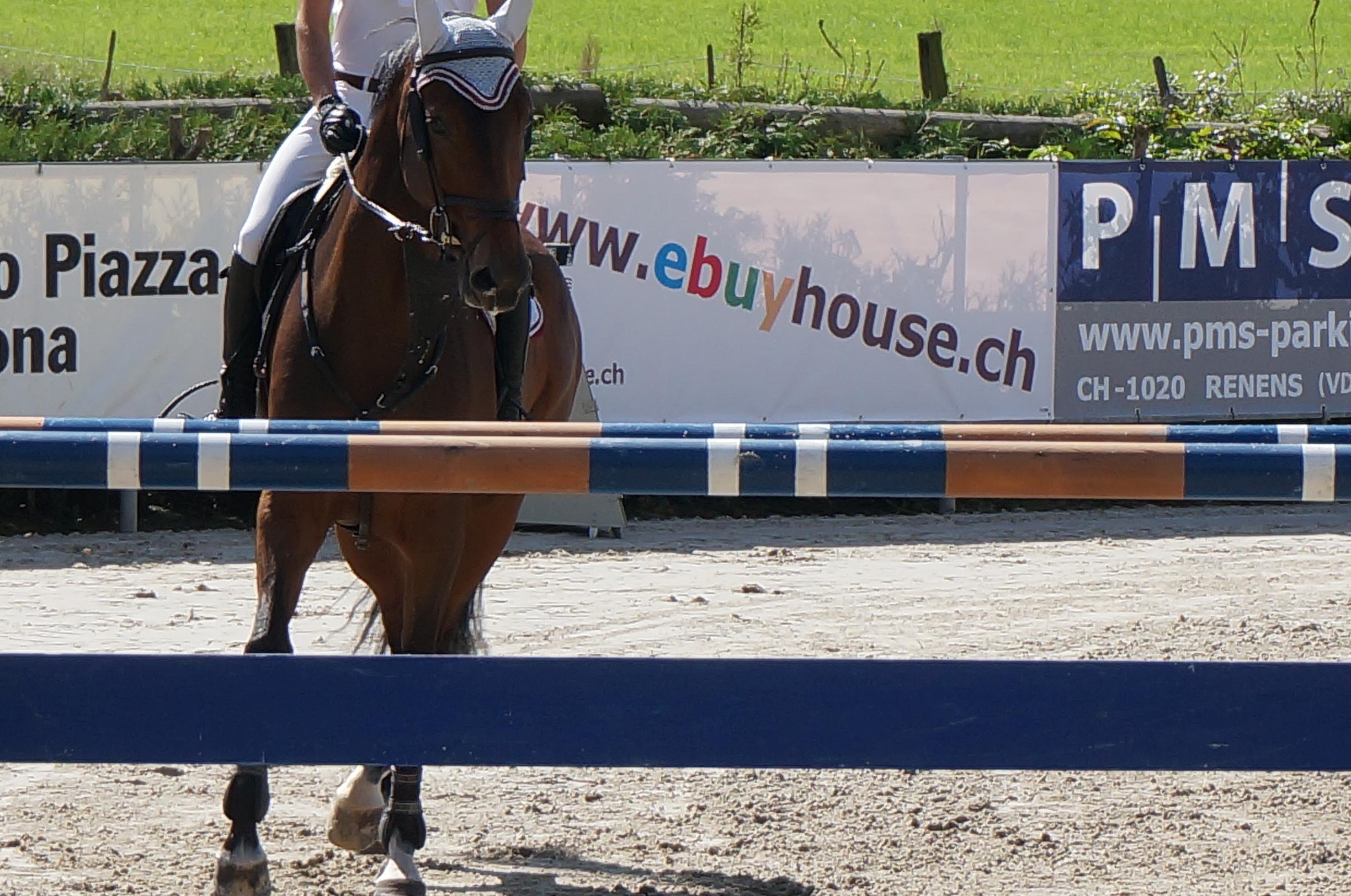 eventi ebuyhouse