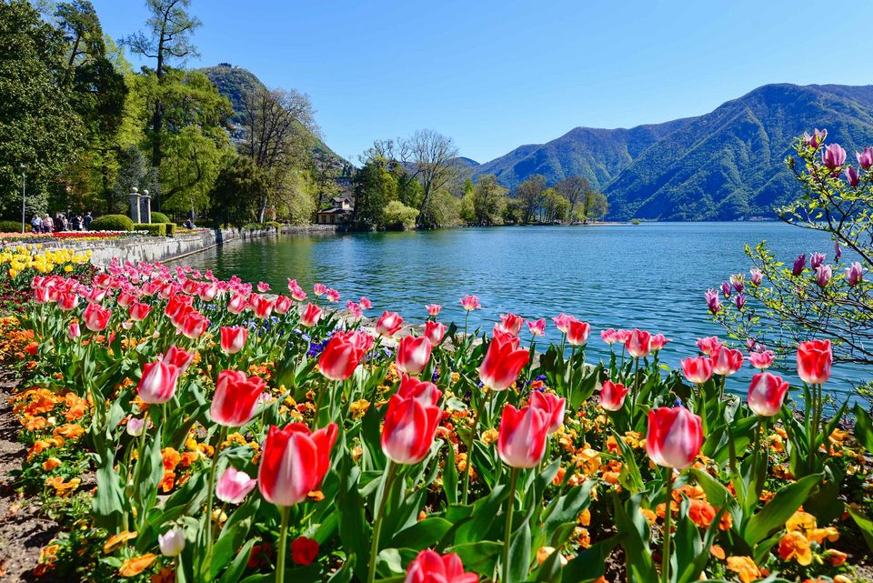 dove vivere a lugano