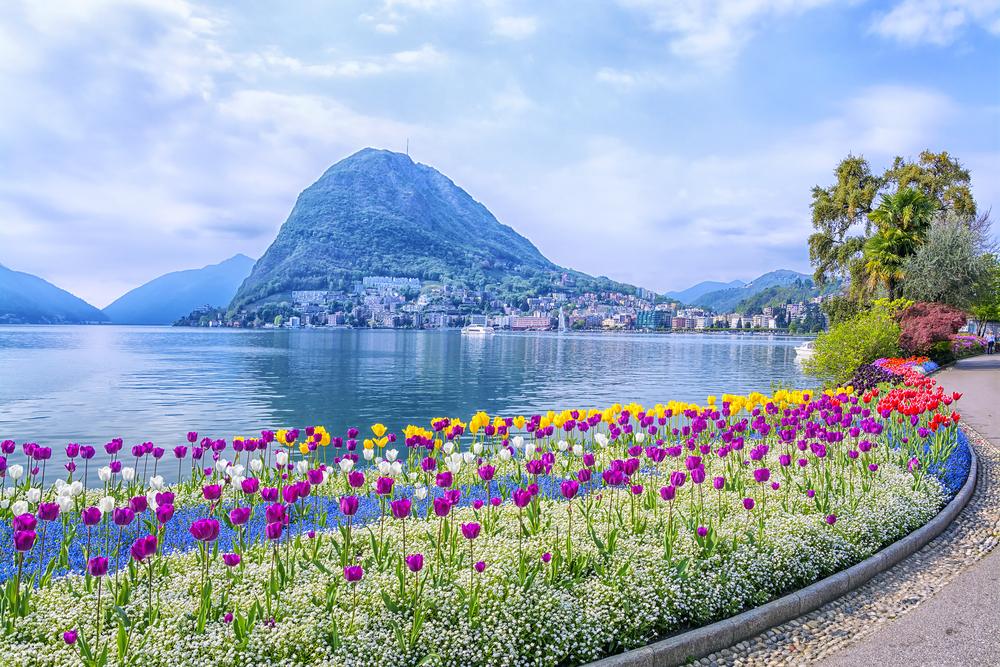 appartamenti in affitto